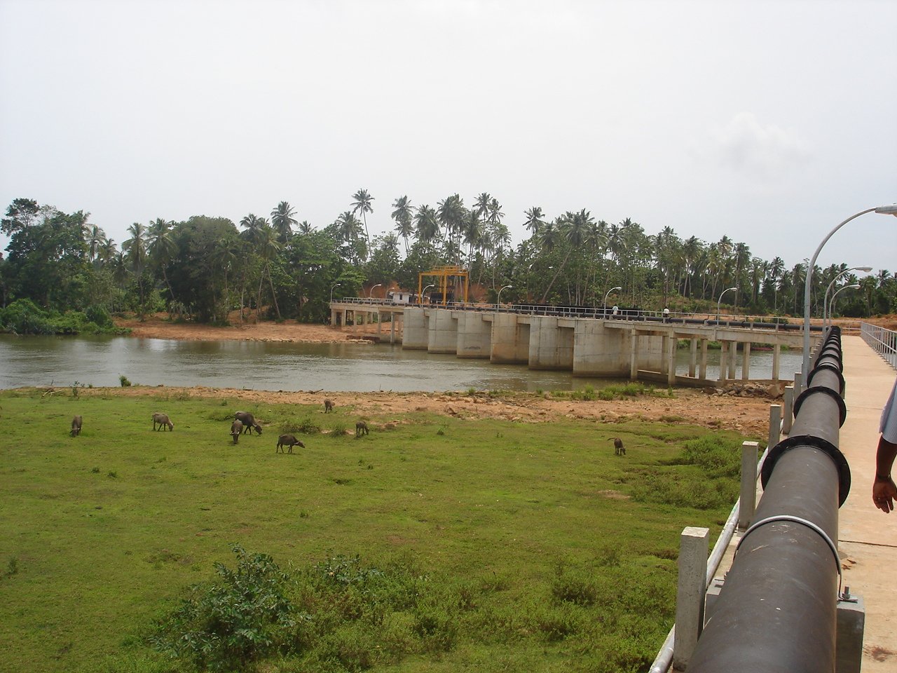 Matara Stage IV Water Supply Project - Detail Design